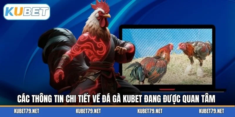 Các thông tin chi tiết về đá gà KUBET đang được quan tâm