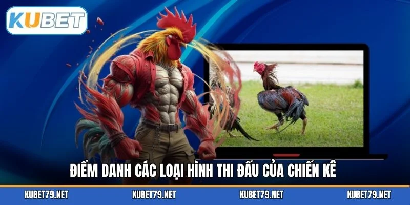 Điểm danh các loại hình thi đấu của chiến kê